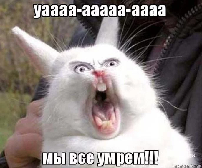 1297bb8beb2edec3.webp