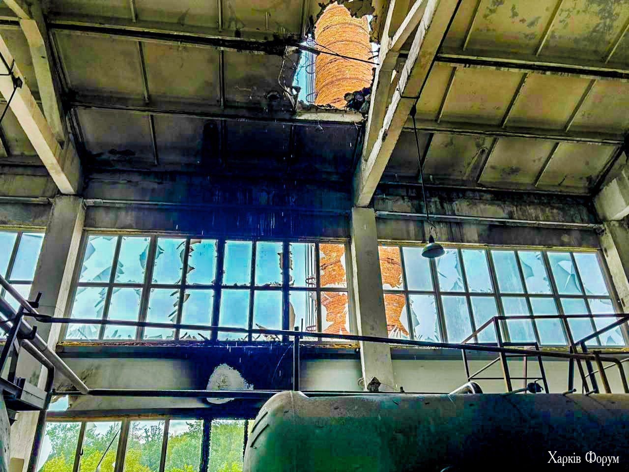12_688df64693387.jpg