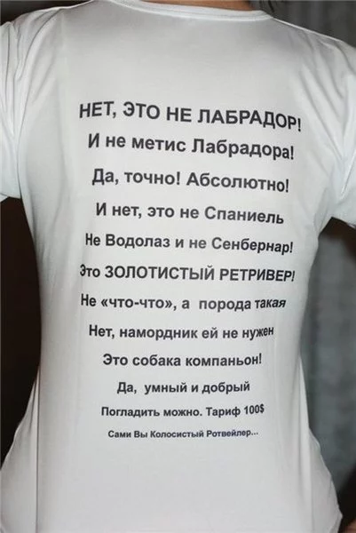 12a0c1a75946be4b6c040e9d00d33ba7.webp