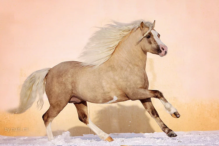 12a5c153.webp