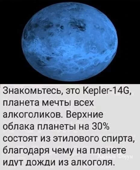 12b940efca652c96.webp