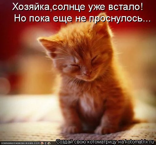 12cc3f1f1d34d23ff24181a31b56382e.webp