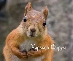 12cfc23d56741d12dbc4e6f.webp