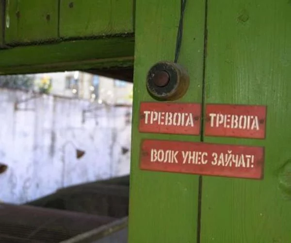 12ef5958538006.webp