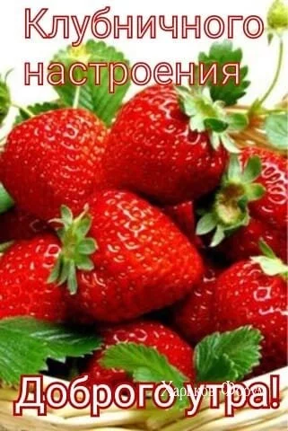 12f89c60db33ffc17.webp