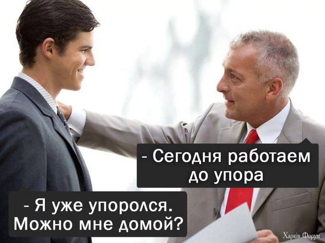 13.webp