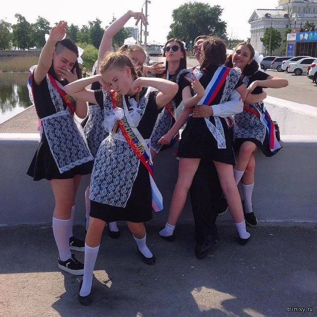 130283_2_trinixy_ru.webp