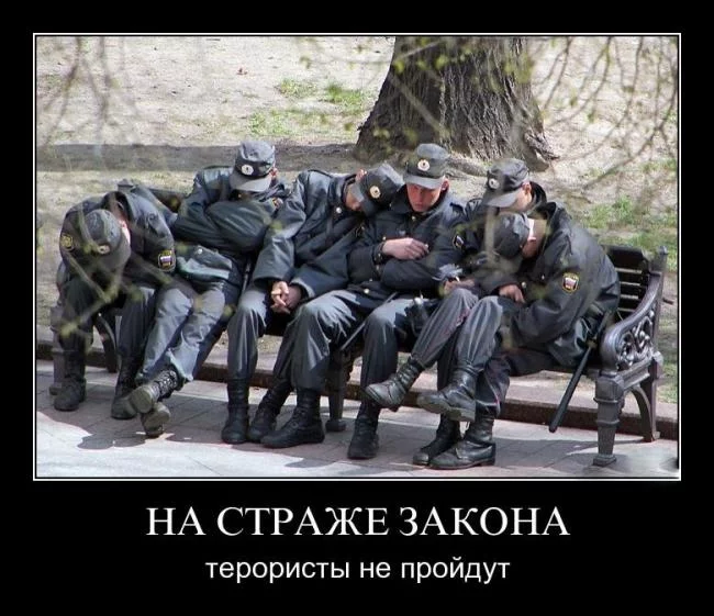 1304579088_i00mzk4v662d.webp
