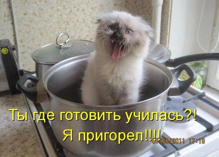1306702311_1306485122_1305872405_kotomatrix_21.webp