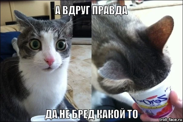 13094357.webp