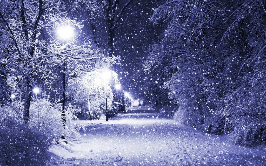 13111737.jpg