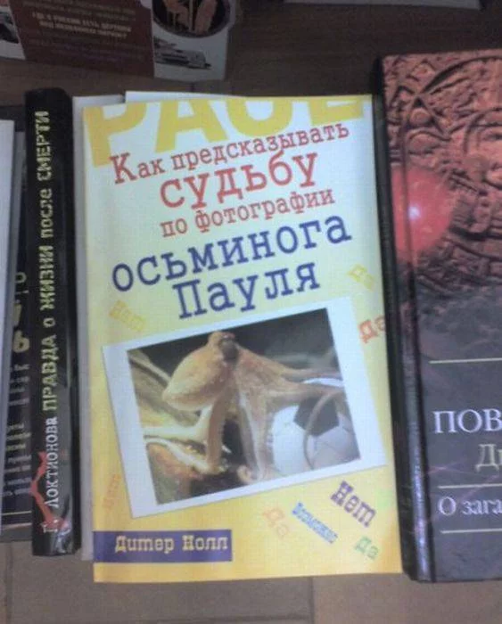 1313739230_marazm_01.webp