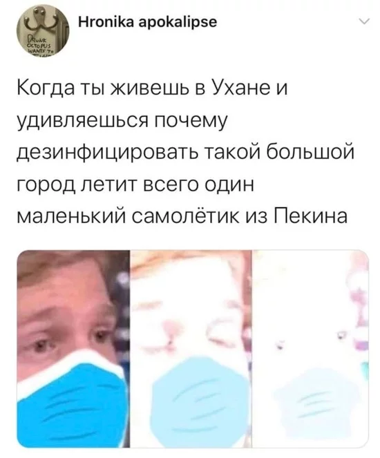 13147048_original.webp