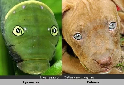 1316104668.webp
