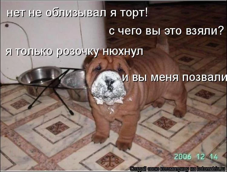 1317029000_996498.webp