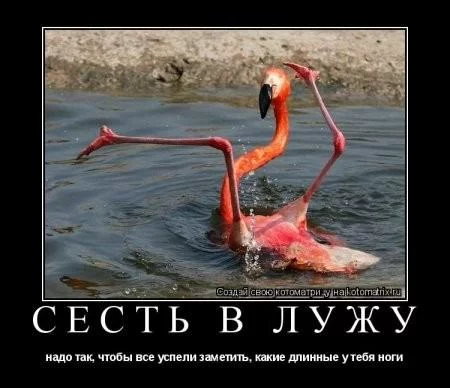 1318531285_G.webp
