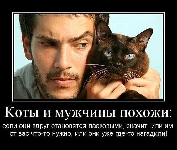 131FKD15b.webp