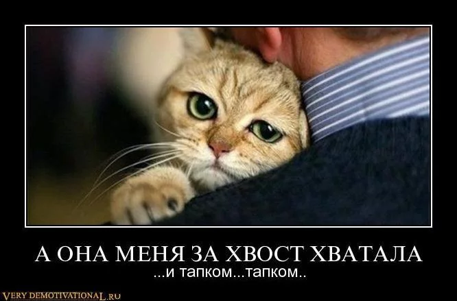 1321787326_hbfe92gb8oxt.webp