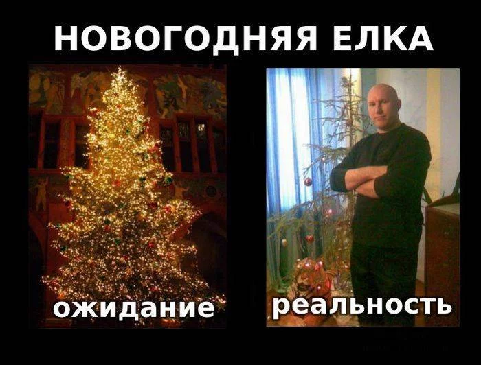 1323807351_realnost-0005.webp
