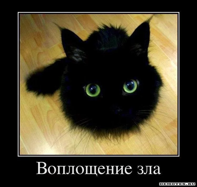 1326588252_1voploschenie-zla.webp