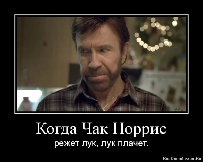 1326706244-kogda-chak-norris.webp