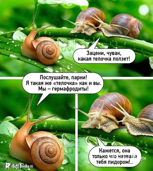 1326e5ac4676d3fe4eec1e.jpg