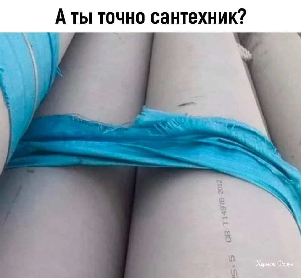 13280ae70bf88072.webp