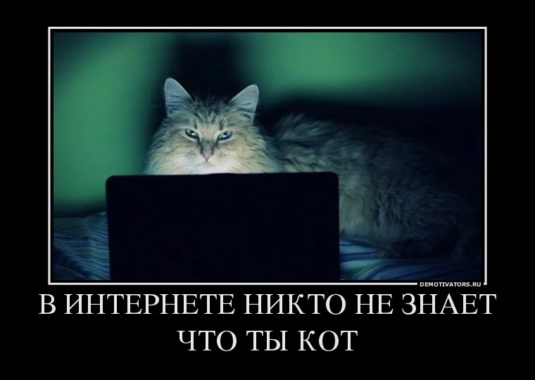 13283_36823.webp