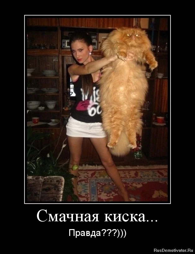 1328521146-smachnaya-kiska....webp