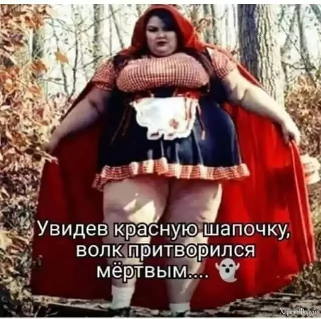 13299634.webp