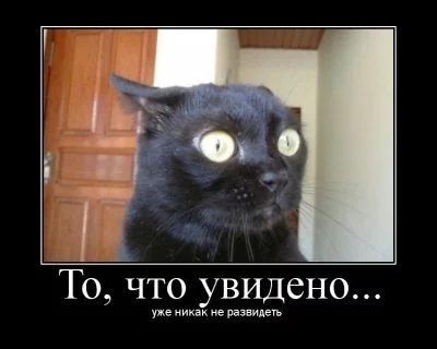13317453549467.webp