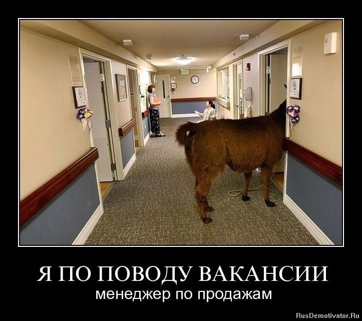 1332146996_jesl0jo5xd23.jpg