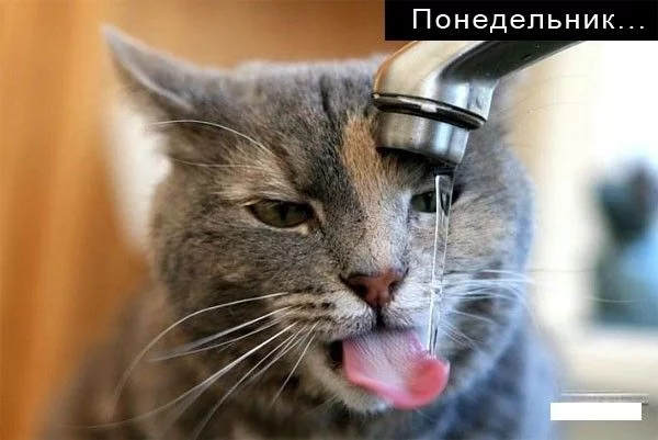 133659_224694.webp