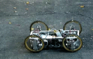 1337716532859.gif