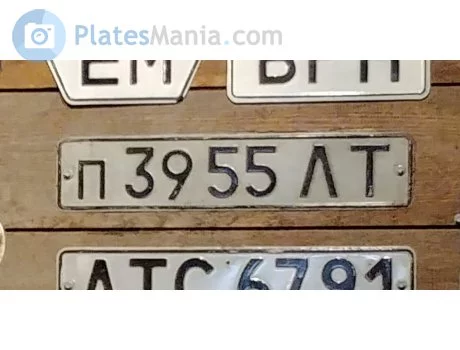 13379900.webp