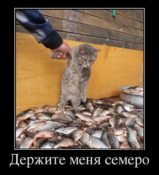 1338190983_demotivatory-21.webp