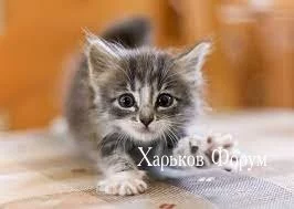 1339217ac55a303e004.webp