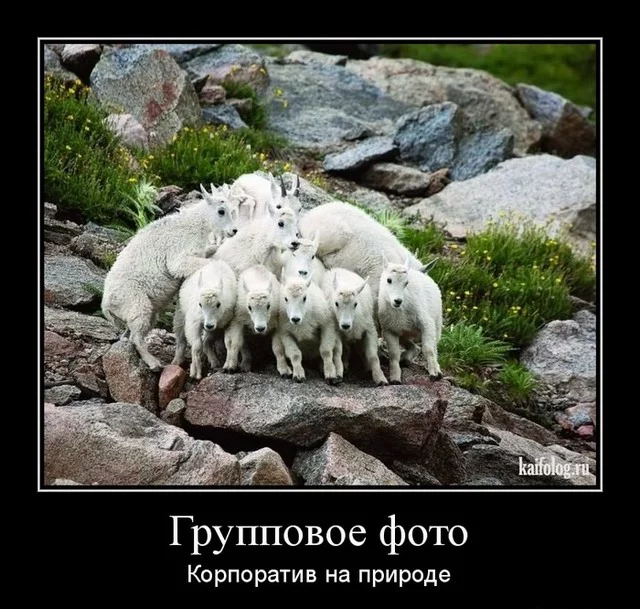 1340684861_041_2.webp