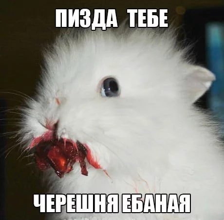 13413244184758.webp