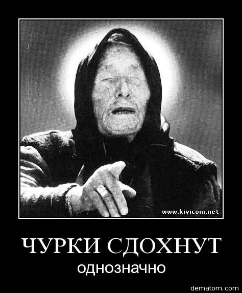 13421843511281.webp