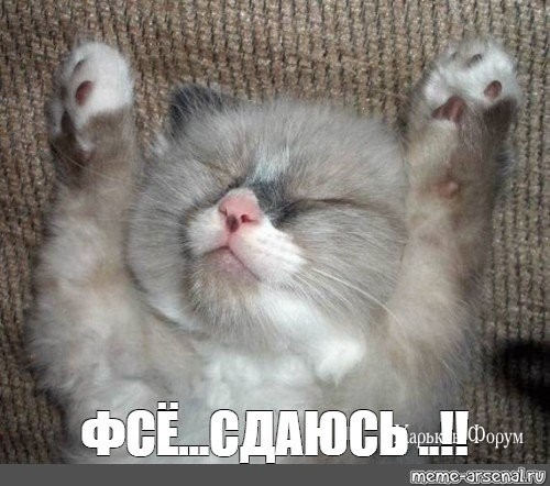 134251c876f6f7ffd2854c9.jpg