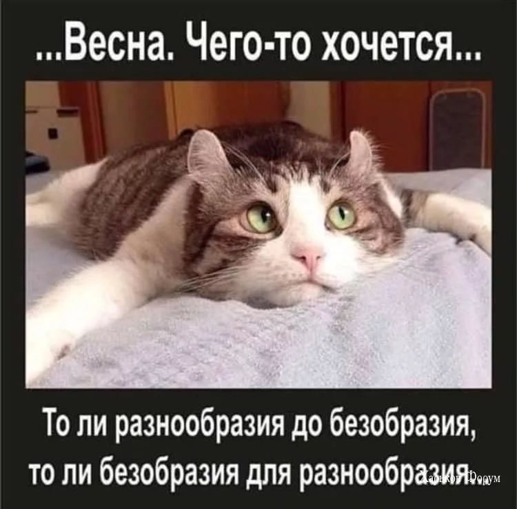1342d0853b286e2a16e00.webp