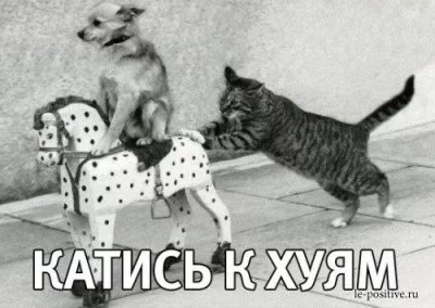 13451358209321.webp