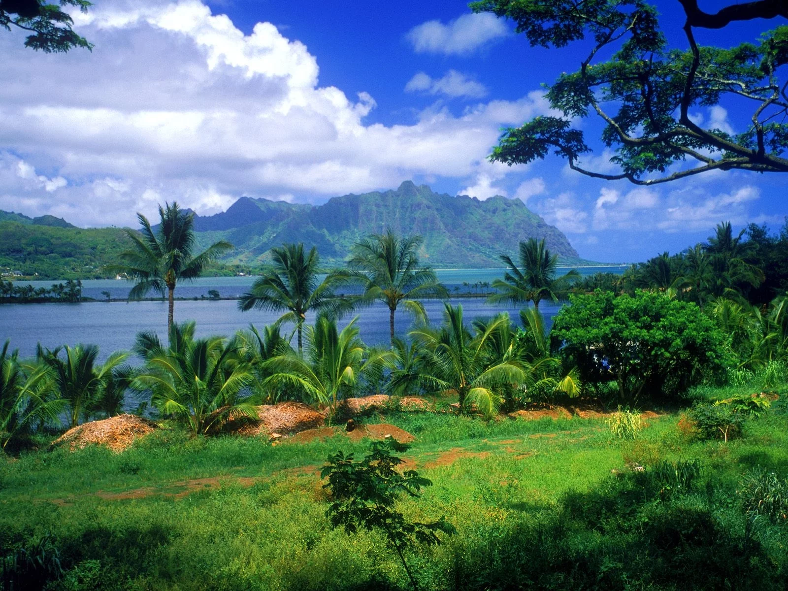 1345503446_Kaneohe_Fish_Pond_Oahu_Hawaii.webp