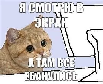 1345994337676.webp