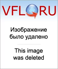 13463352_m.webp
