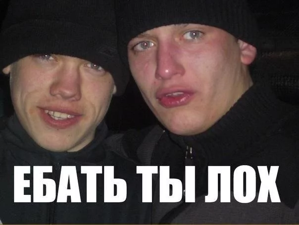 13464321855473.webp