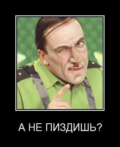 13467527835851.webp