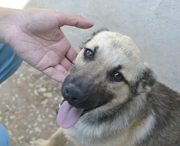 13477_600.webp