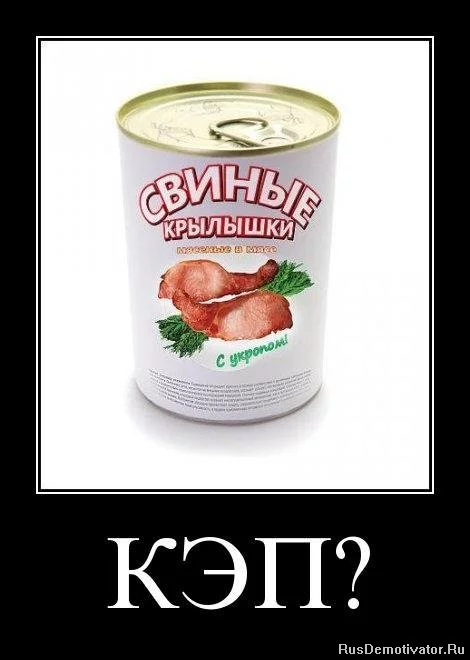 1348481644_gtogj98361x2.webp